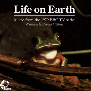 The Big Mammals - Elephant and their ancestors - Lion Hunt - Wildebeeste stampede - Lion Kill