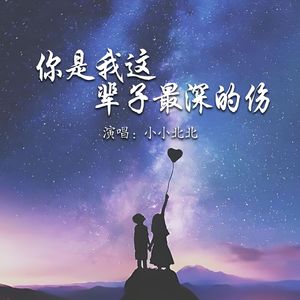 你是我这辈子最深的伤