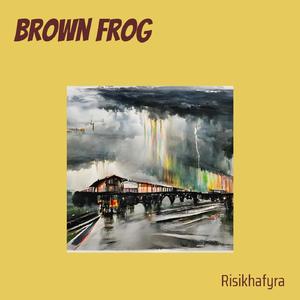 Brown Frog