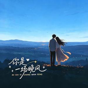 你是一场晚风