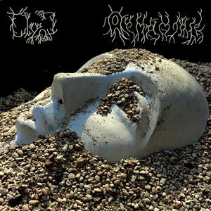 AcidLife (Xm0rtal Remix)