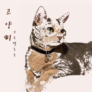 고양이