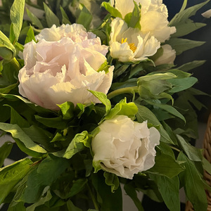 flow of soul （demo ）