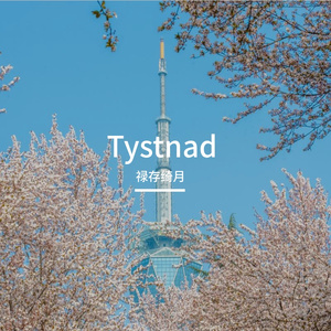 Tystnad