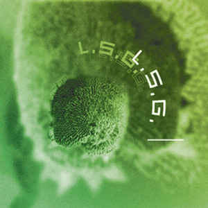 Fontana (Processed Mix)