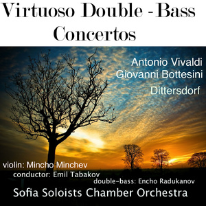 Gran Duo Concertante for Violin and Double Bass