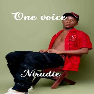 Nirudie