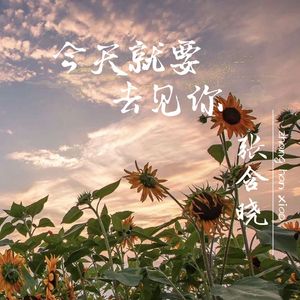 今天就要去见你