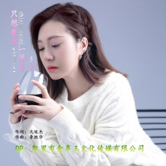 只想爱你一辈子