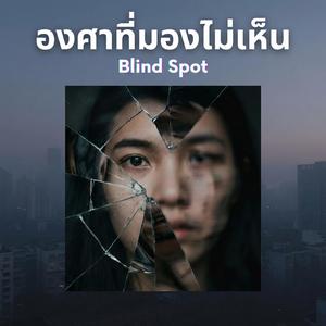 องศาที่มองไม่เห็น (Blind Spot)