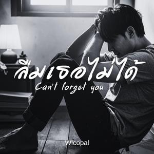 ลืมเธอไม่ได้ (Can't forget you)