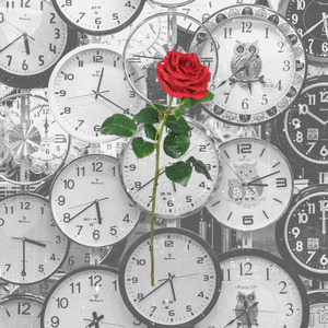 Anatomy of Melancholy (Lost Demos)