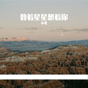 数着星星想着你