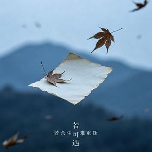 若余生难重逢