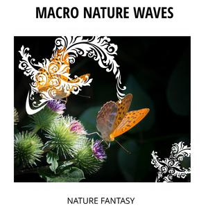 Flowerful Ocean Yard