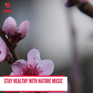 Exotic Trees Creaking