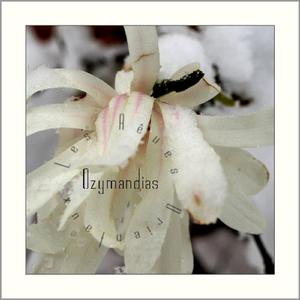 Les rêves orientaux