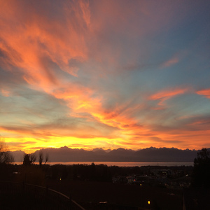 Dante (Polvere di stelle)