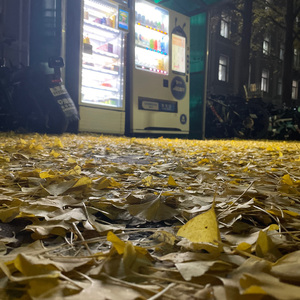 三分钟freestyle（demo）