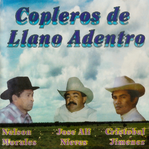 Toros en Mi Pueblo