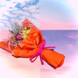 木漏れ日の部屋