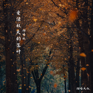 爱像秋天的落叶(烟嗓版)