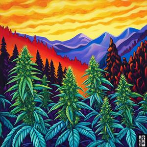 Clairvoyant's Chronicle