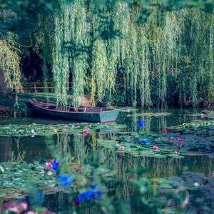 安静舒缓起床晨曲放松轻音乐