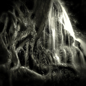 Pink Skies Candy Eyes