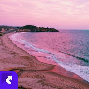 新离婚调完整版