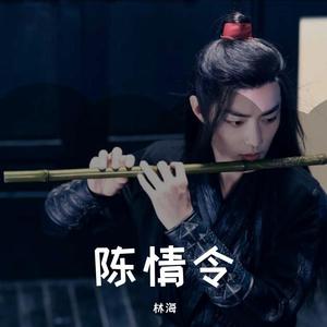 林海-乱葬岗（哨声）（戏志才 remix）