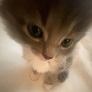 Düşmanlarıma (Speed Up)