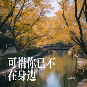 可惜你已不在身边
