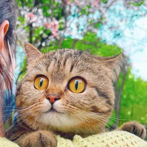 美好的一天_20220413_093259