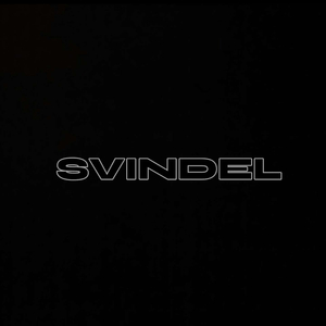 Svindel