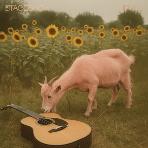 Pink Goats and Chocolate Martinis