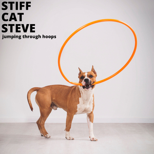 Throwing out Memories