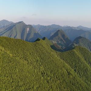 내 남은 날에는 야행