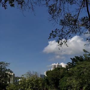 Powfu-death bed（在地中海蝶泳 remix）