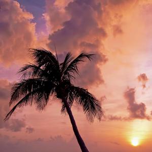 浪漫主义小红歌（翻自 姜云升）