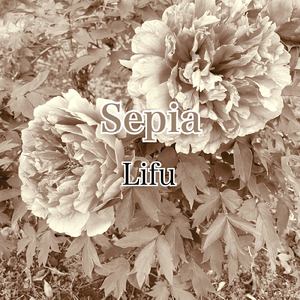 Sepia (Another Mix)