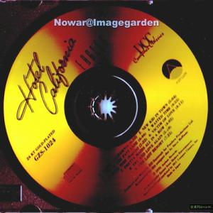 加州旅馆（古筝）