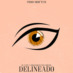 Delineado