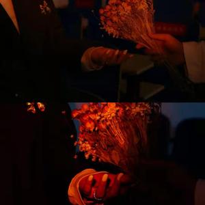 阻断高墙内外的人