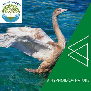 Get Lost in the Bliss of the Ocean Shore