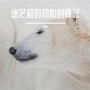 无人听见的序曲