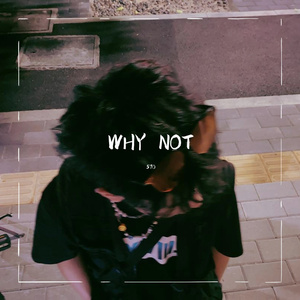 why not （Prod.By PUNISHME)