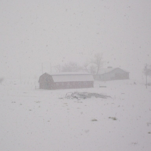 Wenatchee (It's Here and It's Fine)