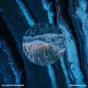 My Turds for President