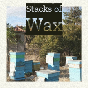 Melted Butter Funk DNB